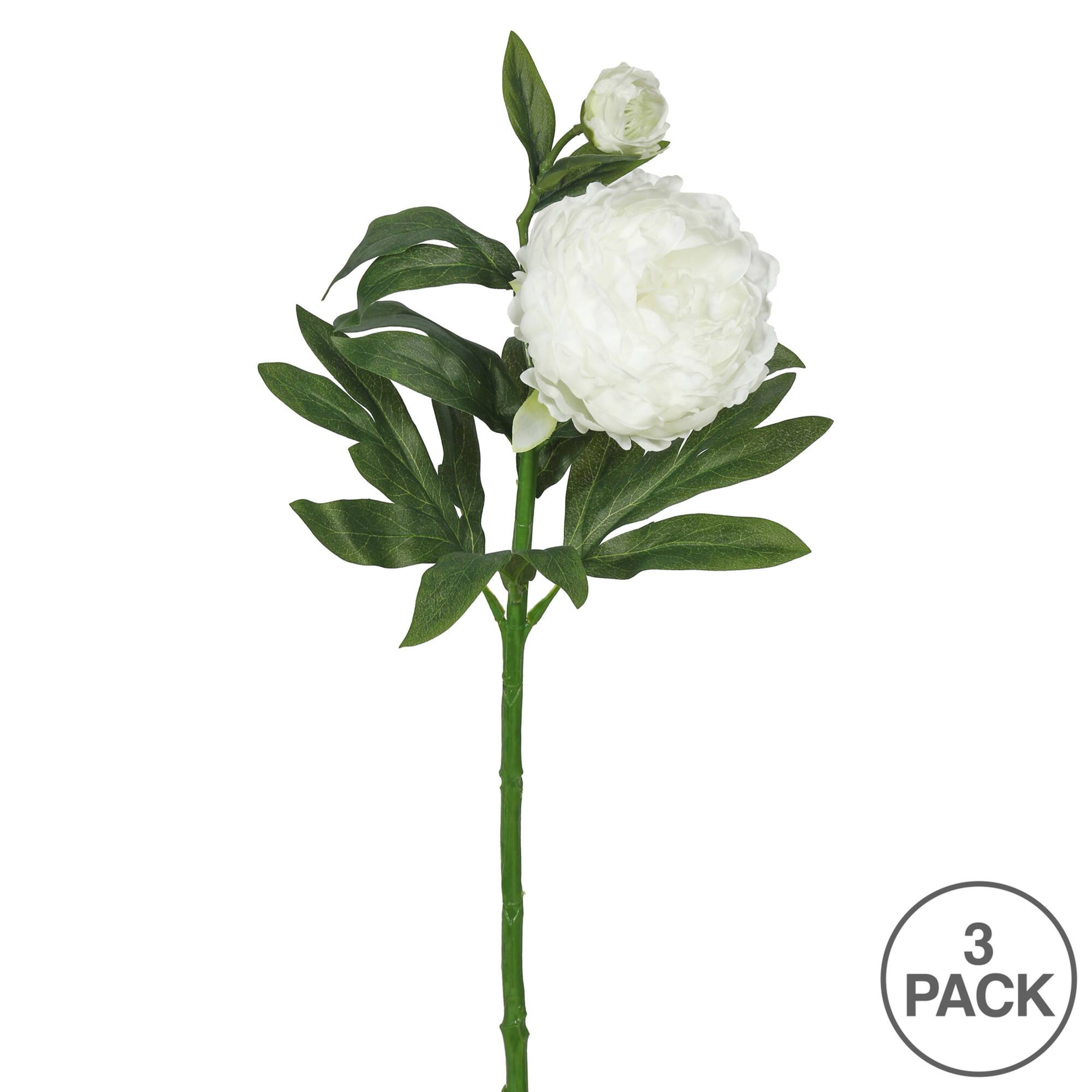 Cream Peony Stem, 3ct.